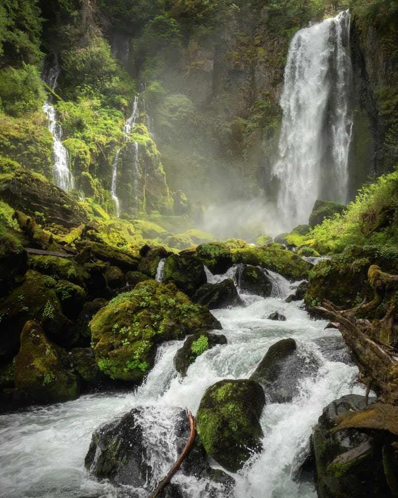 A stunning waterfall cascades through a mossy forest in Washington, capturing nature's serene beauty.