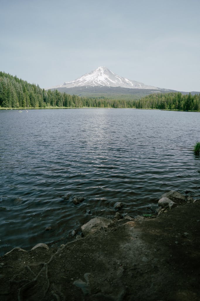 Beautiful view of Mount Hood reflected in Trillium Lake, Oregon, with clear skies and lush forests.