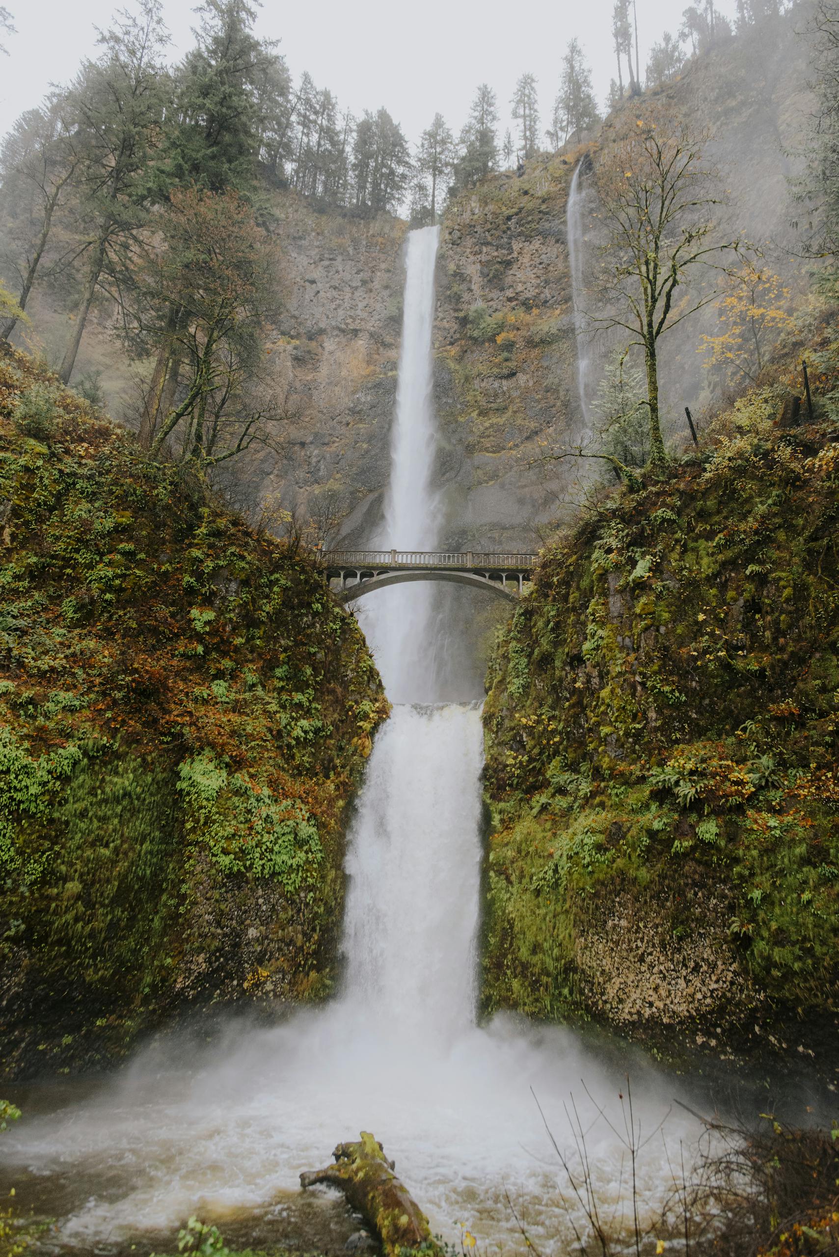 Breathtaking view of Multnomah Falls cascading in lush autumn scenery.